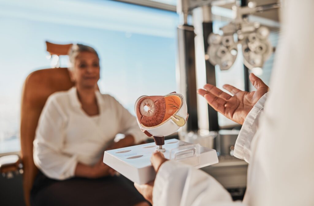 An eye doctor uses a model to explain why signs of general health conditions can appear in the eyes to a patient.